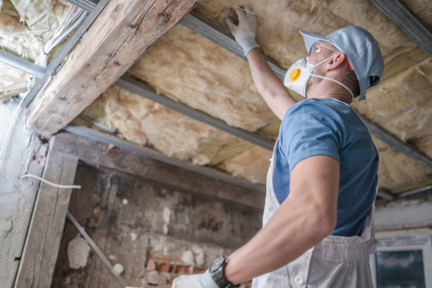 Best Commercial Insulation Contractor  in Spring Lake, MI