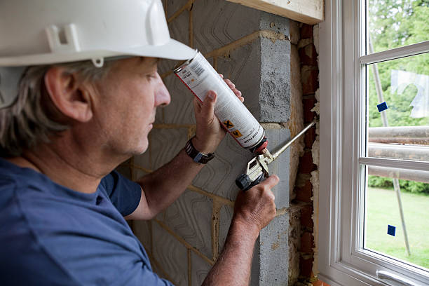 Best Attic Insulation Installation  in Spring Lake, MI