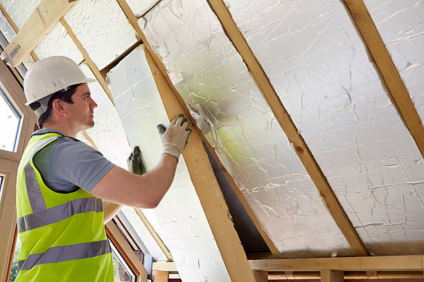 Best Insulation Replacement Services  in Spring Lake, MI