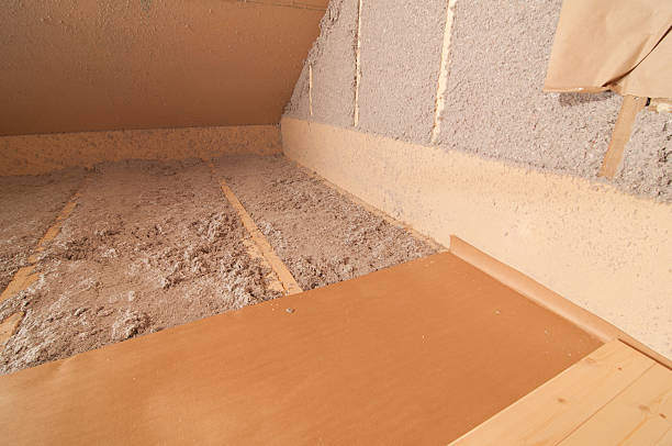 Best Local Insulation Services  in Spring Lake, MI